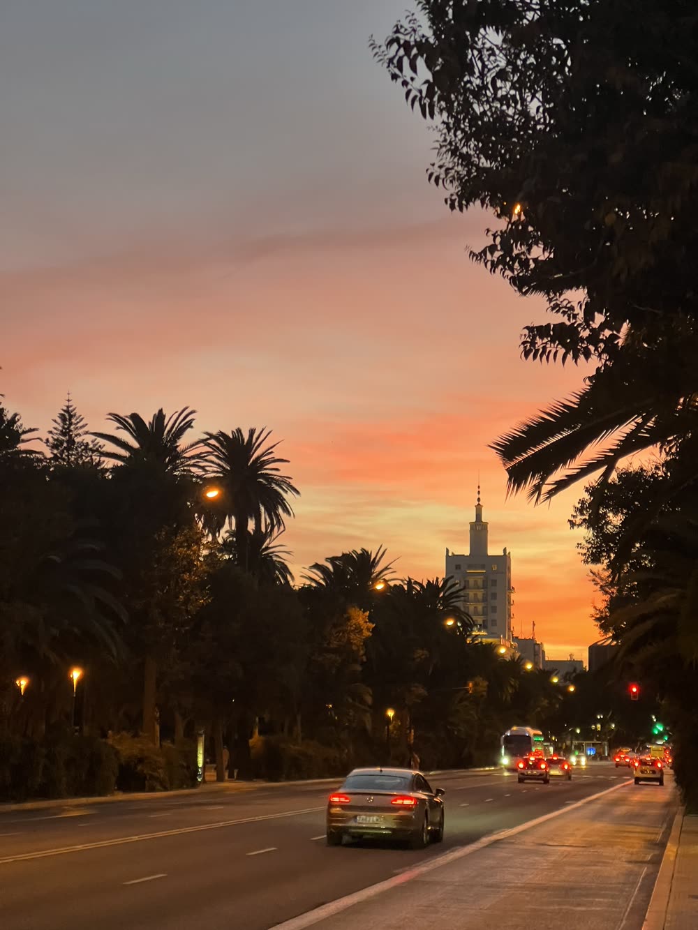 A palm-lined street at sunset