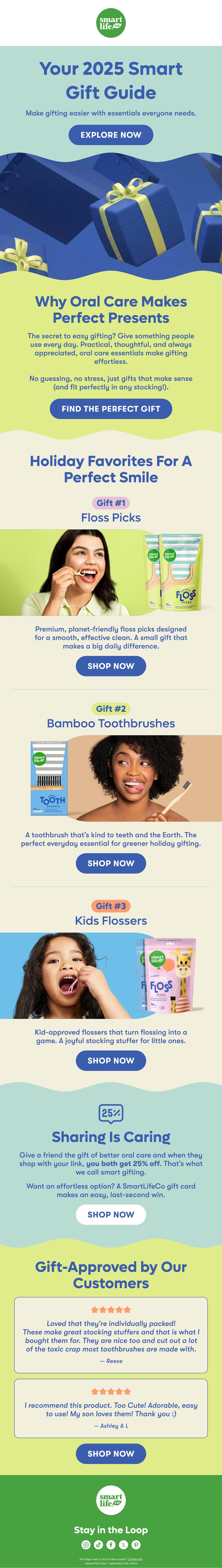 2025 holiday gift guide email for SmartLifeCo